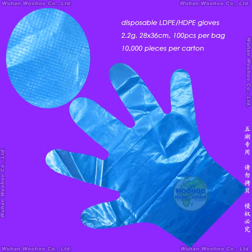 식품 서비스용 일회용 투명 폴리/HDPE/LDPE/CPE/TPE/플라스틱 장갑